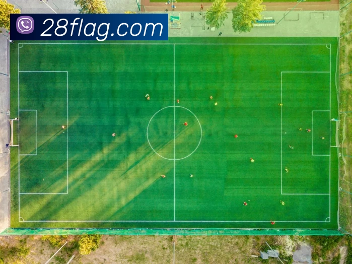 28圈官网发展历程